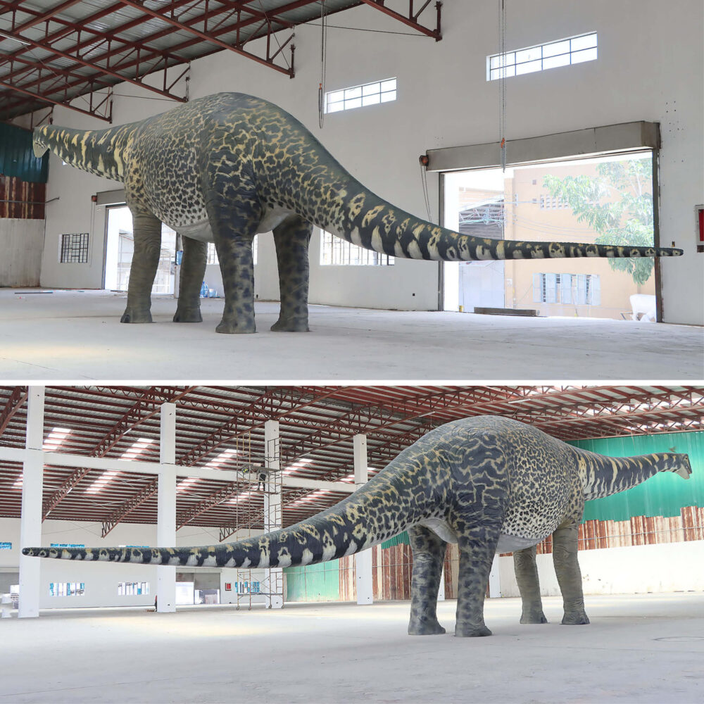 Australotitan-cooperensis-210199-showing entire dinosaur rear views-210199-Giant dinosaur