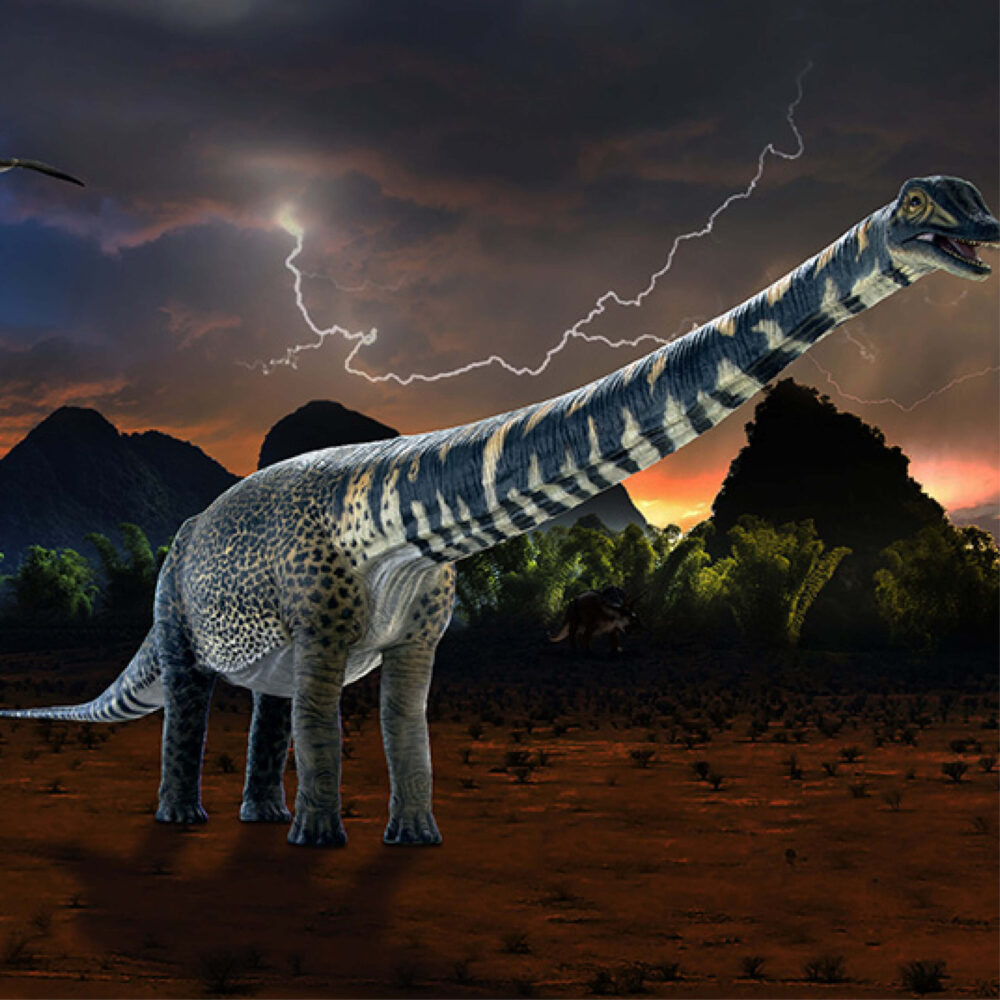 Australotitan cooperensis - SKU 210199 giant dinosaur - standing pose with lightening background