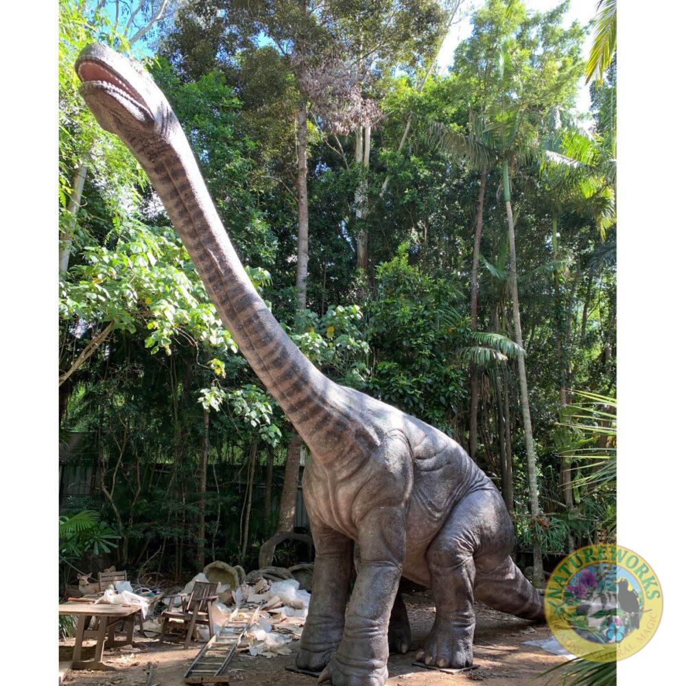 Rhoetosaurus Brownei Dinosaur at Natureworks studio