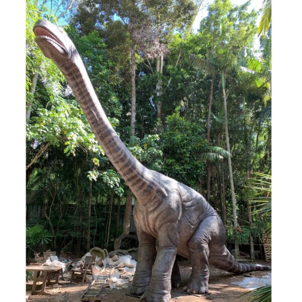 Rhoetosaurus Brownei Dinosaur at Natureworks studio