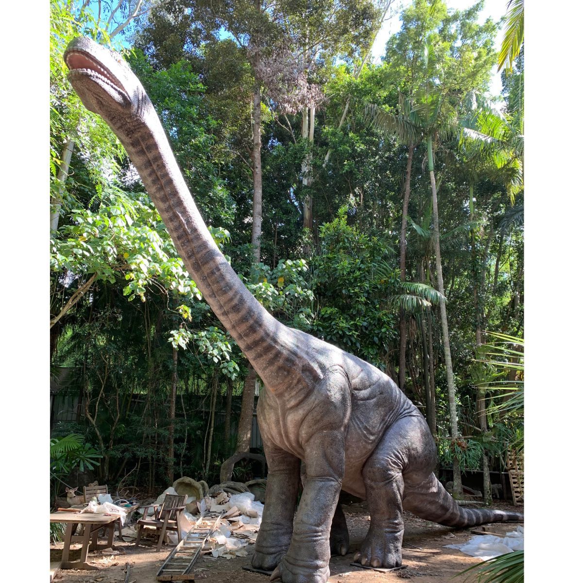 Natureworks Australia Rhoetosaurus Brownei Dinosaur at Natureworks studio