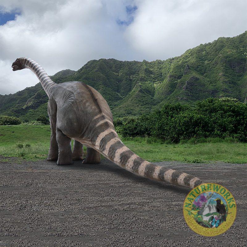 Natureworks Australia Rhoetosaurus brownei - Giant Dinosaur Sculpture - SKU 230092 - outside rearview