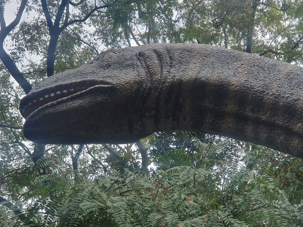 Natureworks Australia Rhoetosaurus Brownei Dinosaur 13m long - Image 14