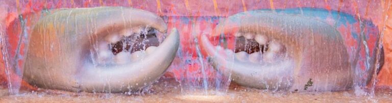 Crab claws sculpture at splash park in Broome