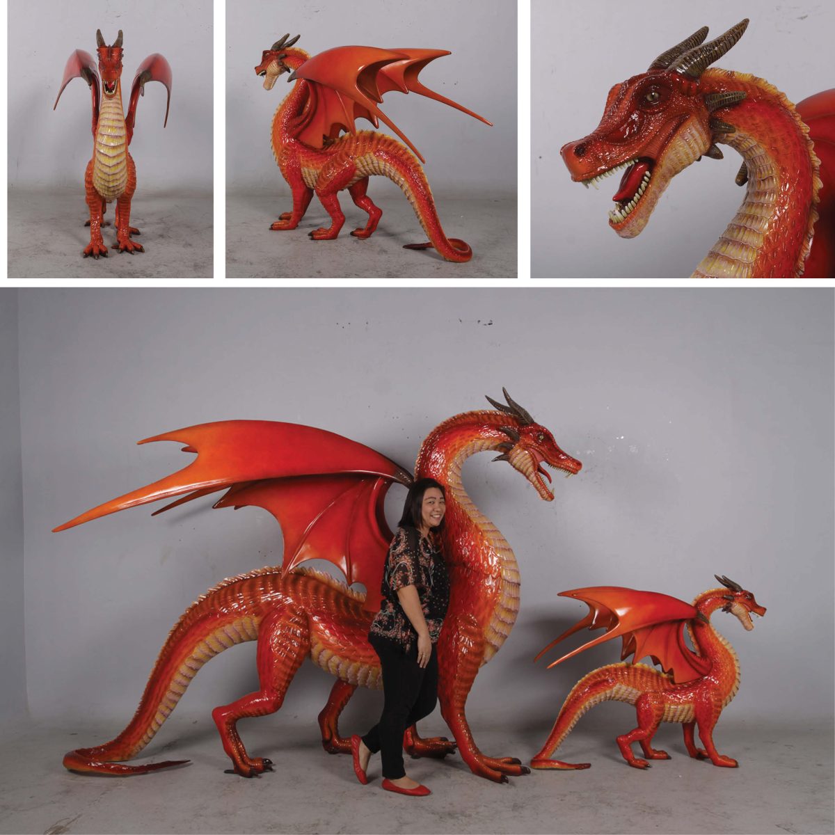 Natureworks Australia Red Dragon Standing - Image 12
