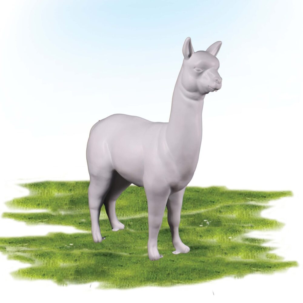 Alpaca Standing