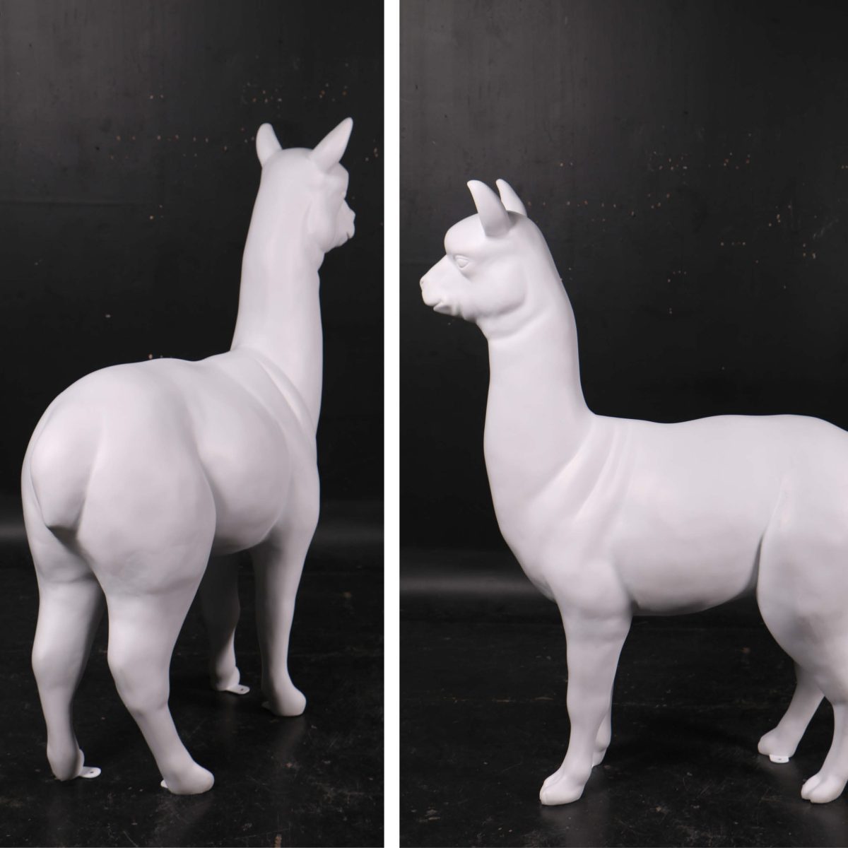 Natureworks Australia Alpaca Standing Side