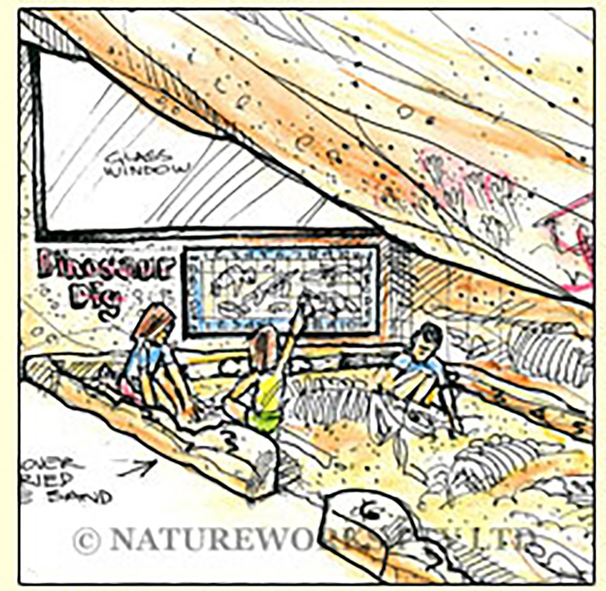 Natureworks Australia Wonambi Naracoortensis - Fossil Dig - Image 3