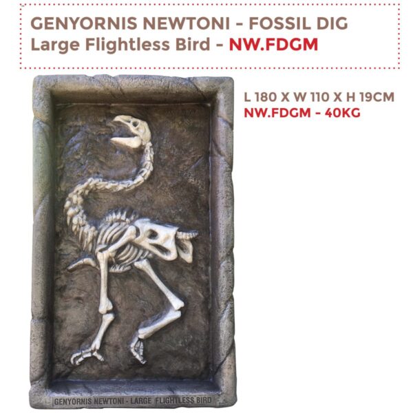 Genyornis Newtoni - Australian large flightless bird Fossil dig