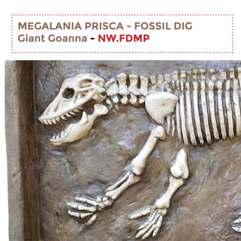 Megalania Prisca Fossil Dig / sandpit