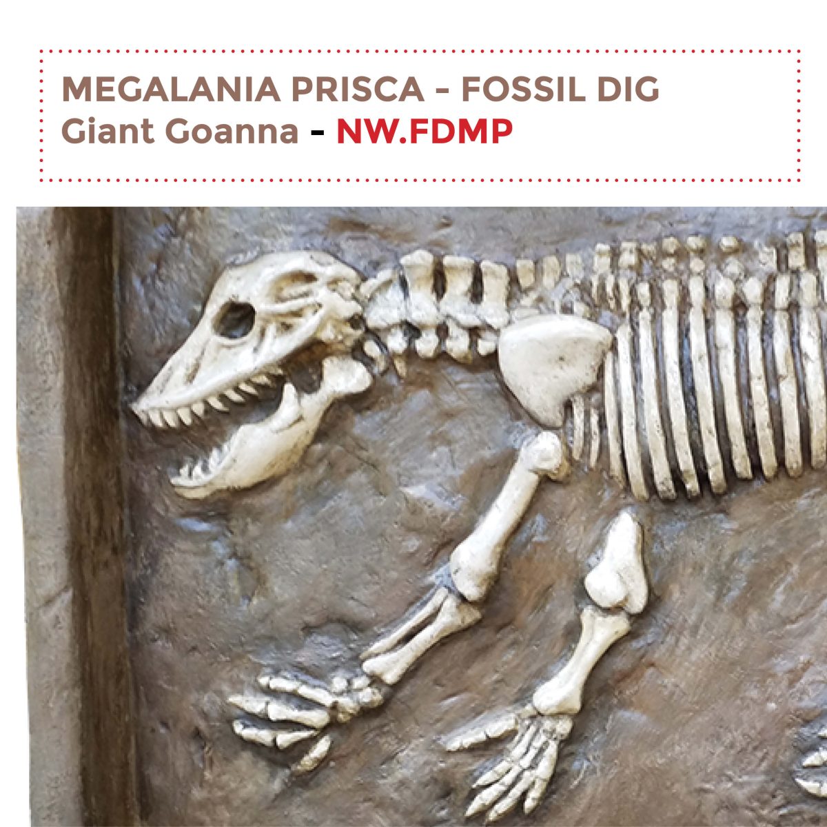 Natureworks Australia Megalania Prisca Fossil Dig / sandpit