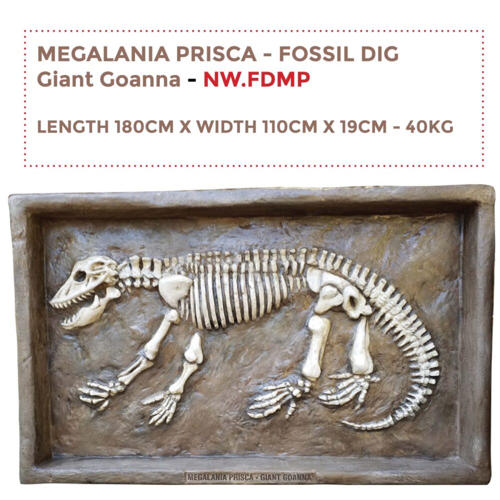 Megalania Prisca Fossil Dig - life size replica encased into a sandpit