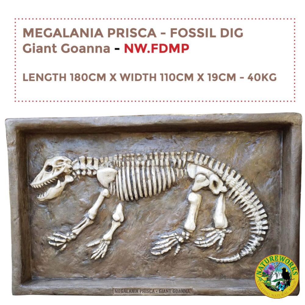 Megalania Prisca Fossil Dig - life size replica encased into a sandpit