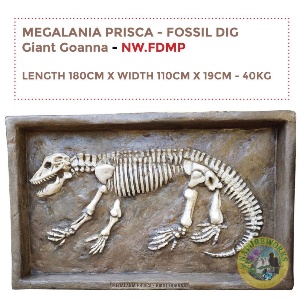 Natureworks Australia Megalania Prisca Fossil Dig - life size replica encased into a sandpit