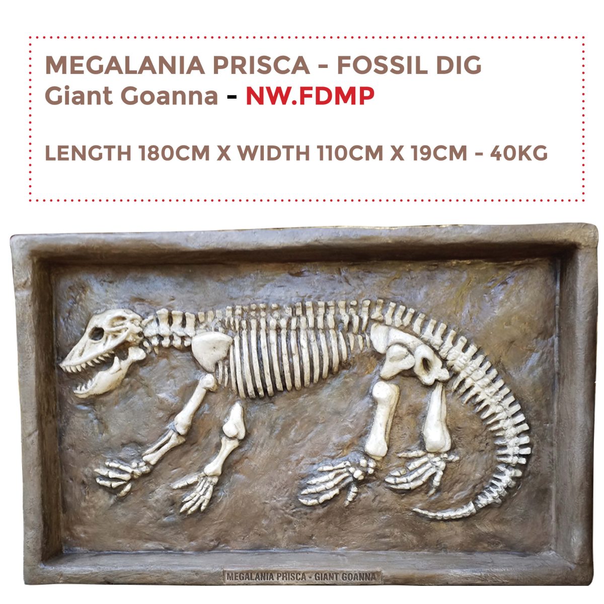 Natureworks Australia Megalania Prisca Fossil Dig - life size replica encased into a sandpit