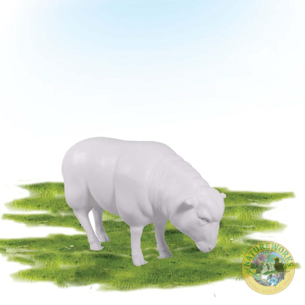Merino Ewe Grazing - Smooth White Primer - 020409Primer