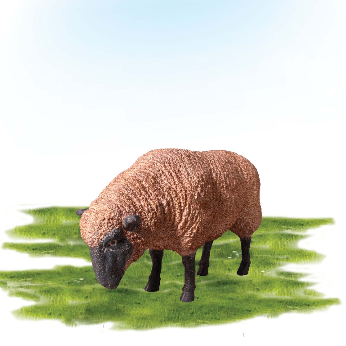 Natureworks Australia Merino Ew grazing adult with Black legs and cream merino wool
