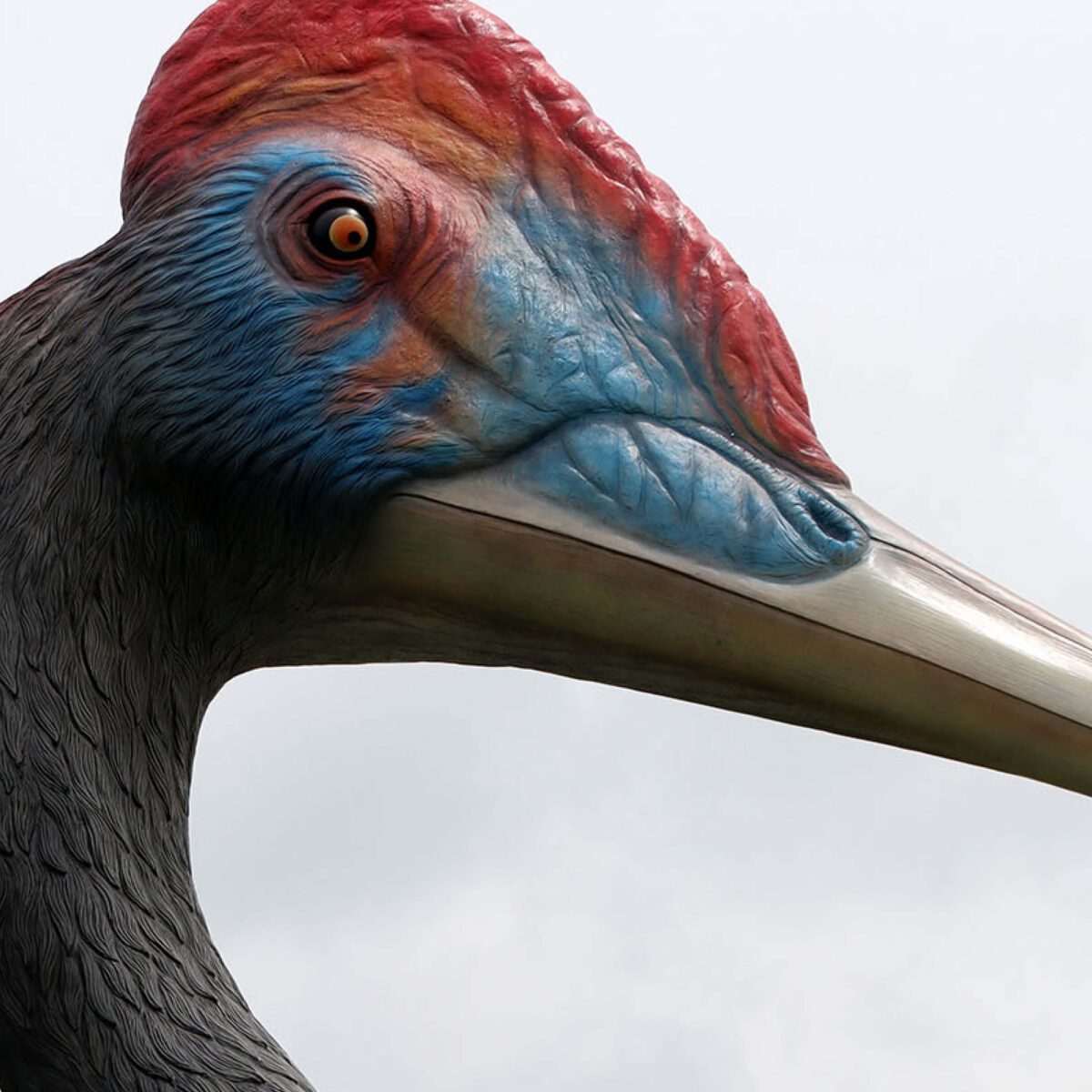 Natureworks Australia Quetzalcoatlus - Winged Dinosaur - 230089 -close up of head