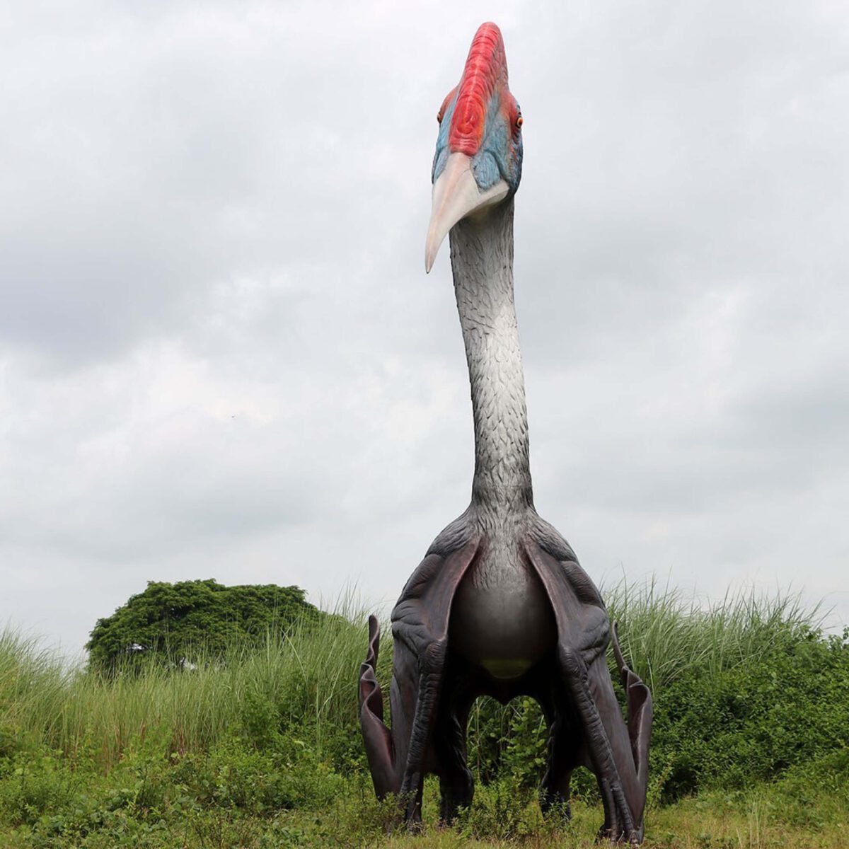 Natureworks Australia Quetzalcoatlus - Winged Dinosaur - 230089 -front view