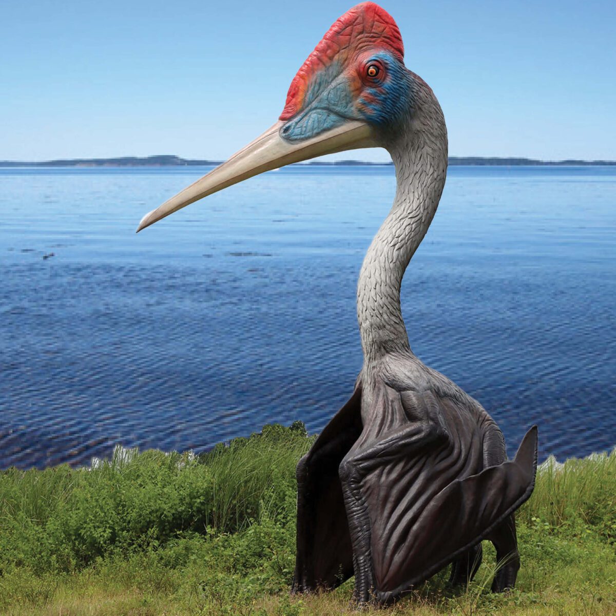 Natureworks Australia Quetzalcoatlus - Winged Dinosaur - 230089 - side view near the sea