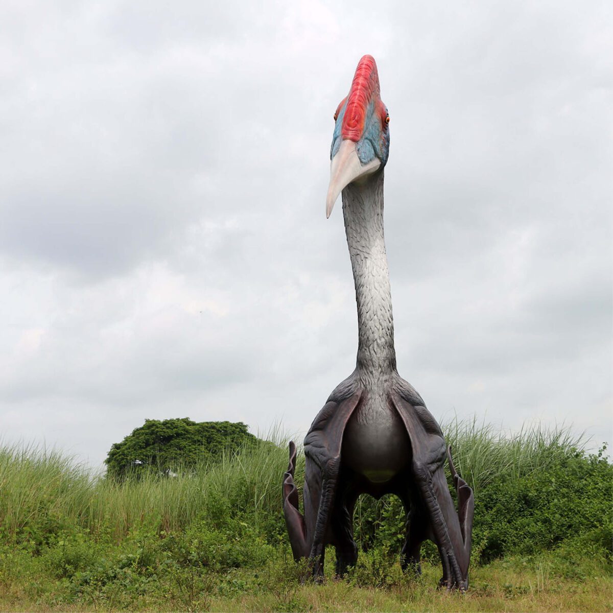 Natureworks Australia Quetzalcoatlus - Winged Dinosaur - 230089 -Front View