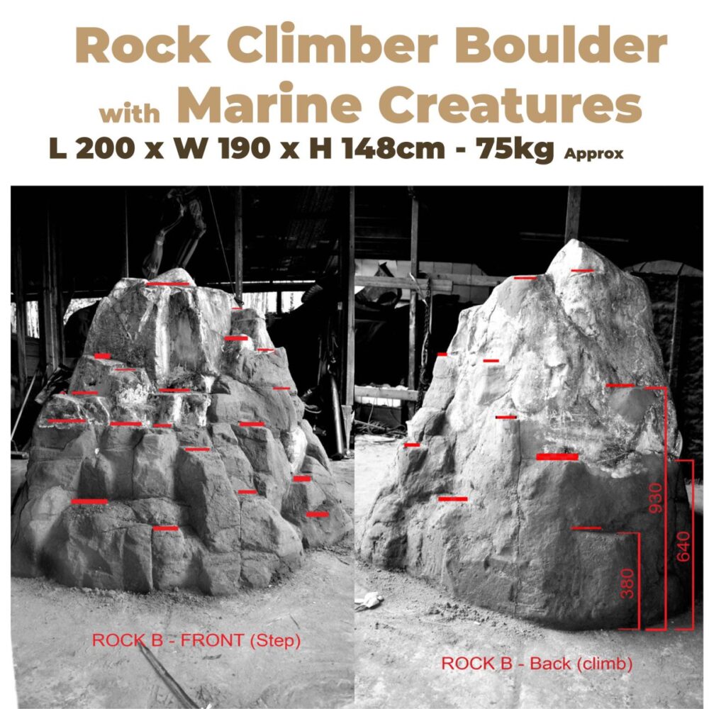 Playground Rock Climber with Marine Creatures