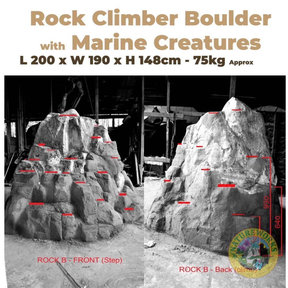 Playground Rock Climber with Marine Creatures