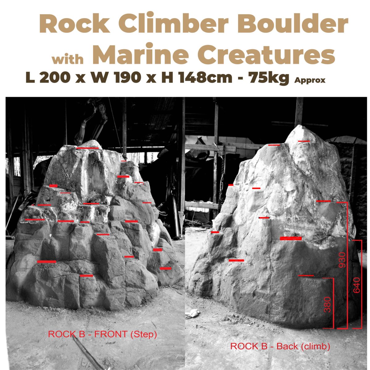 Natureworks Australia Playground Rock Climber with Marine Creatures