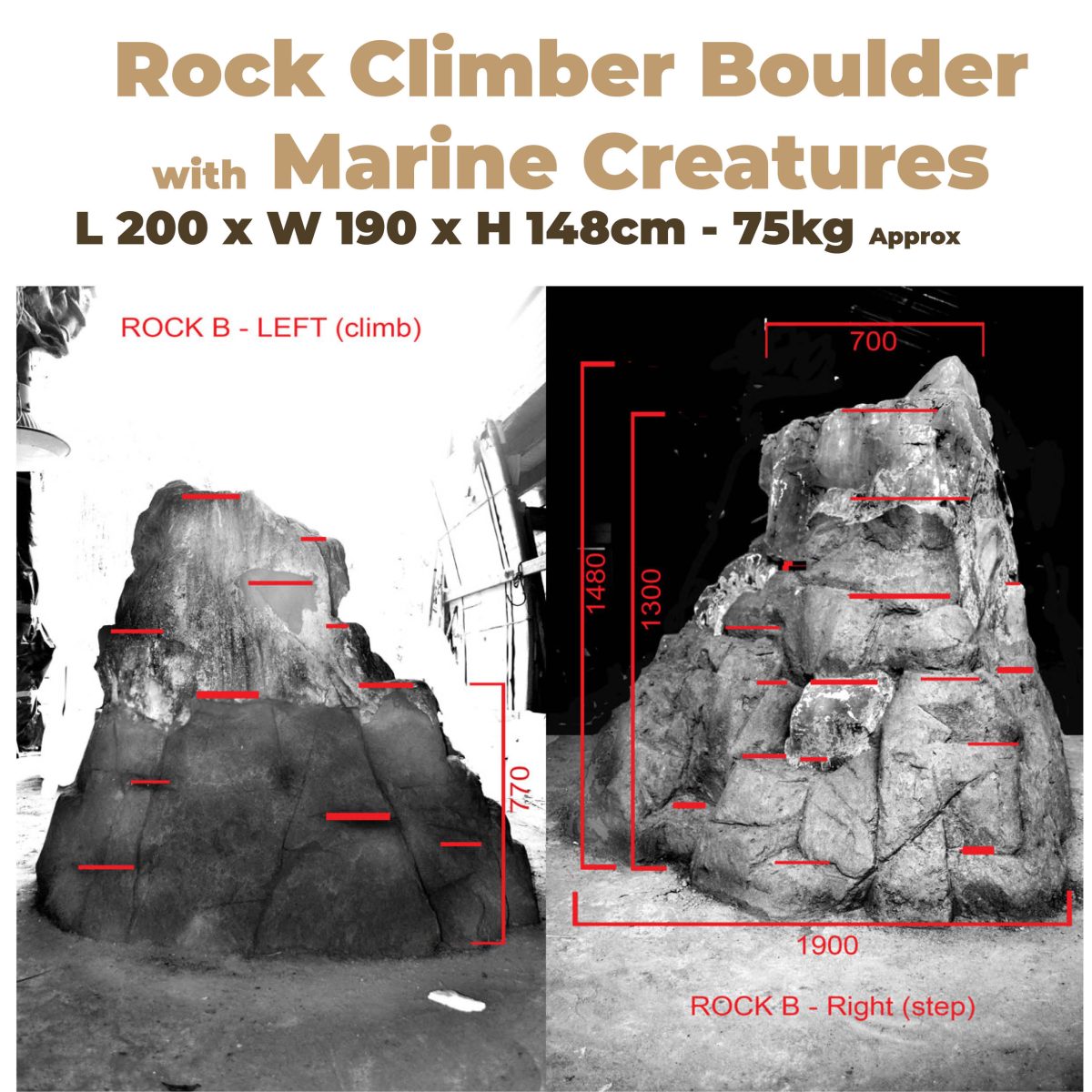 Natureworks Australia Playground Rock Climber with Marine Creatures - Image 2