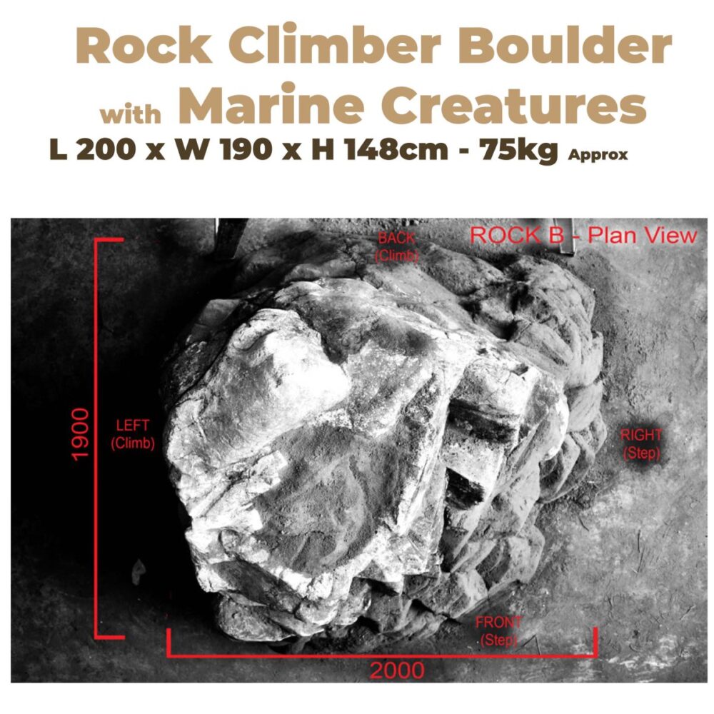 Playground Rock Climber with Marine Creatures - Image 4