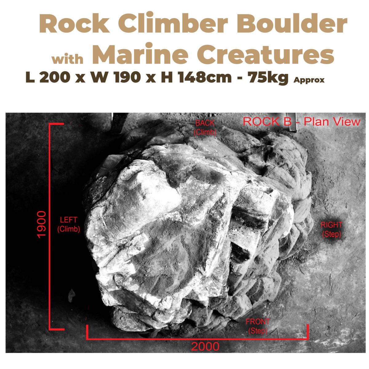 Natureworks Australia Playground Rock Climber with Marine Creatures - Image 4