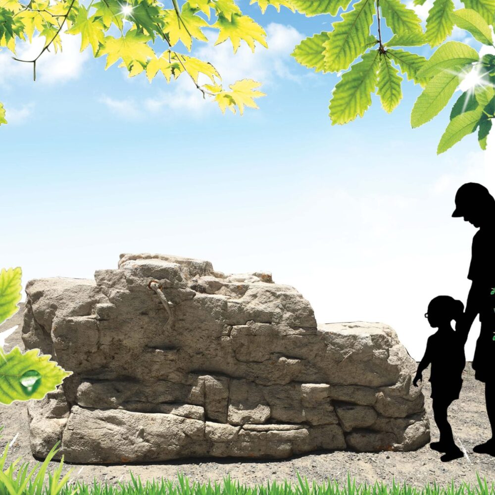 Rock Boulder Climber with Reptiles