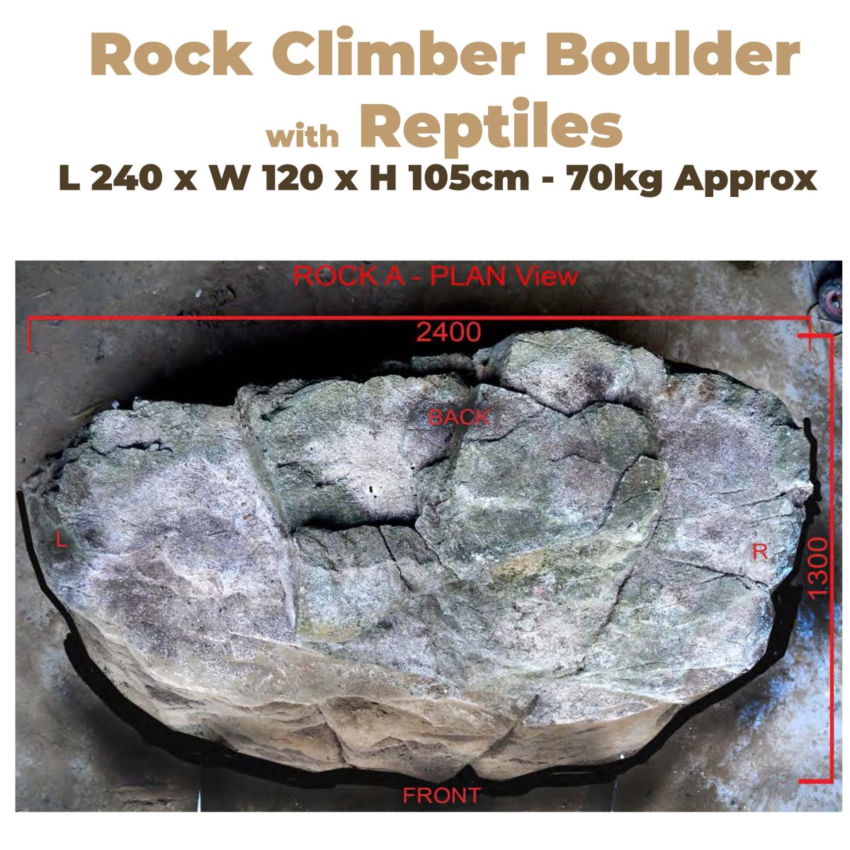 Natureworks Australia Left and Right Measuremetns of Rock Climber Boulder with Reptiles - top or plan view