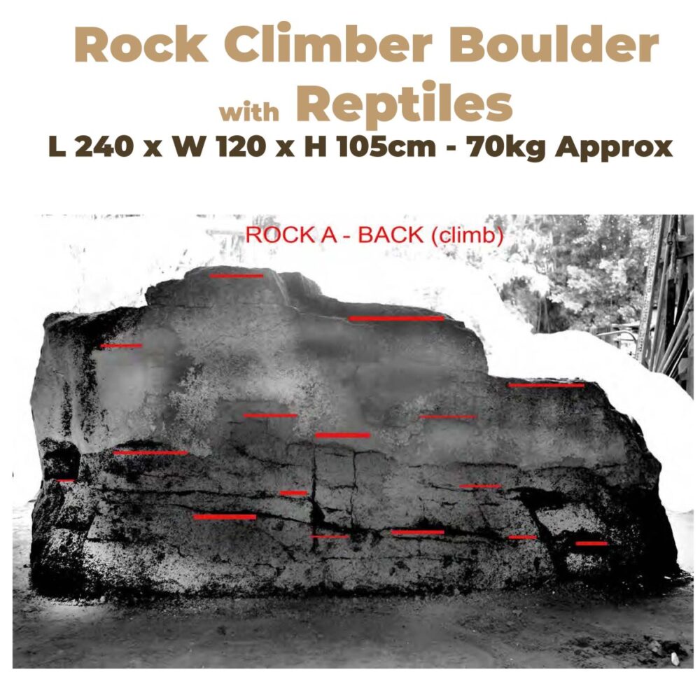 Left and Right Measuremetns of Rock Climber Boulder with Reptiles