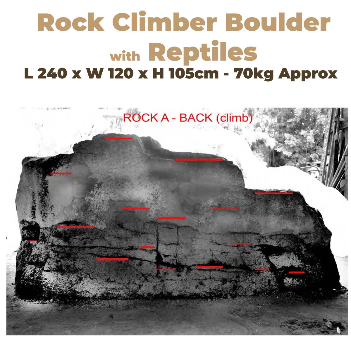Natureworks Australia Left and Right Measuremetns of Rock Climber Boulder with Reptiles
