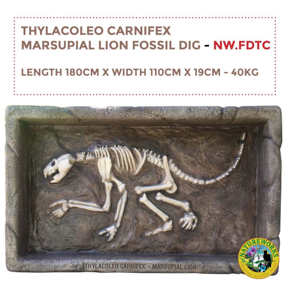 Thylacoleo – Fossil Dig - NW.FDTC- WITH SIZES