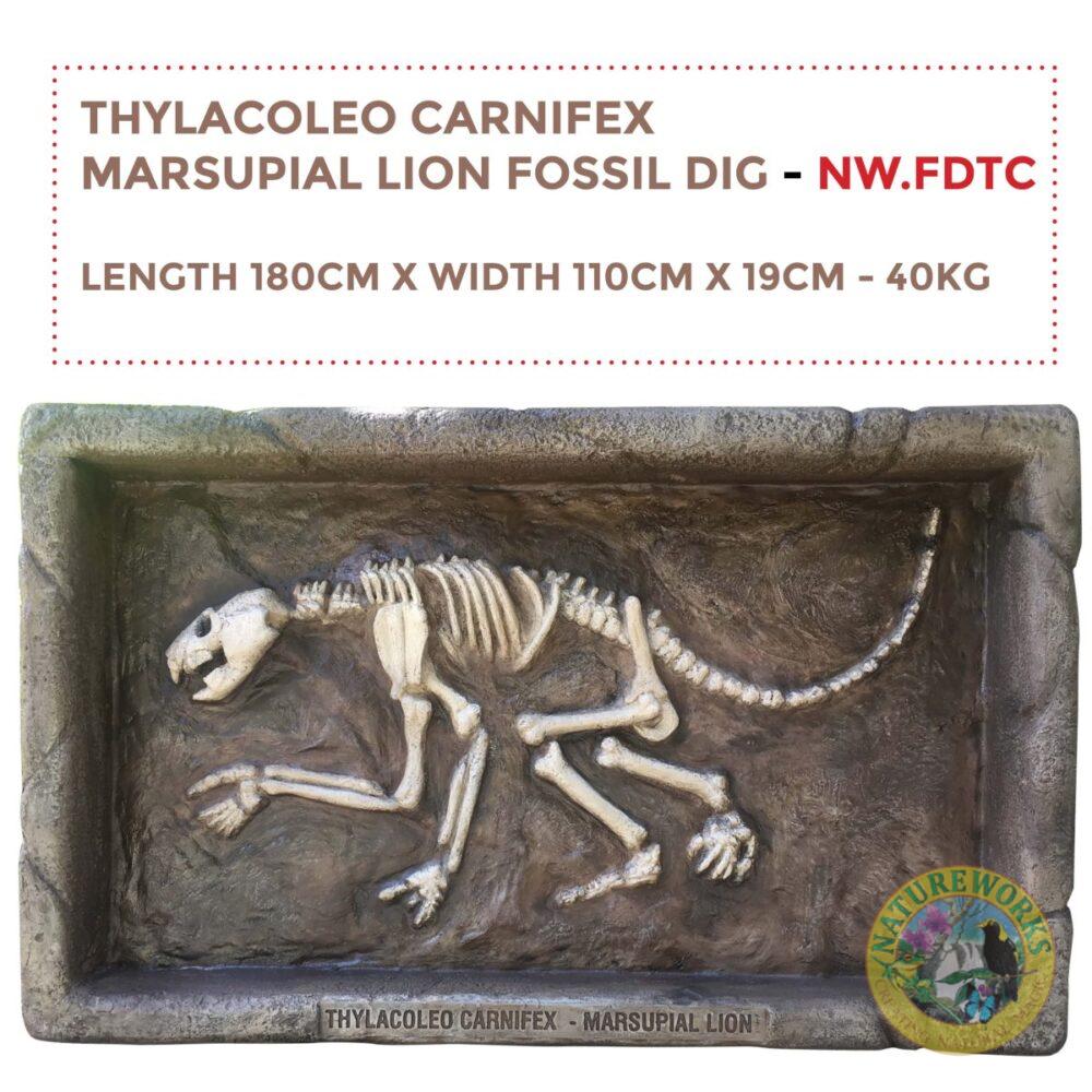 Natureworks Australia Thylacoleo – Fossil Dig - NW.FDTC- WITH SIZES
