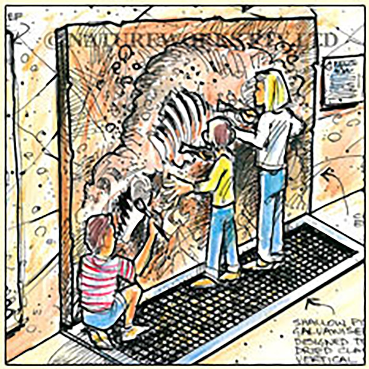 Natureworks Australia Wonambi Naracoortensis - Fossil Dig - Image 4