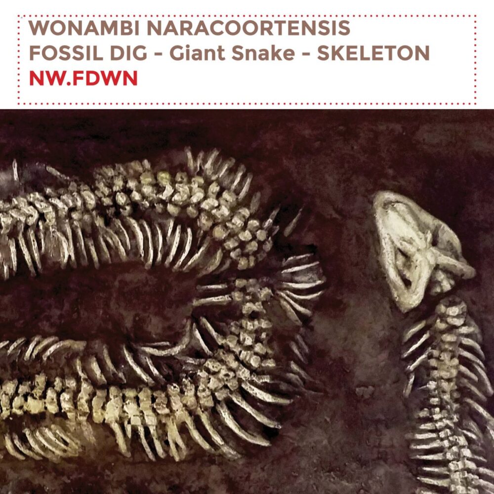Wonambi naracoortensis and other extinct species in a hands-on way, children can develop a greater appreciation for the complexity and interconnectedness of the natural world