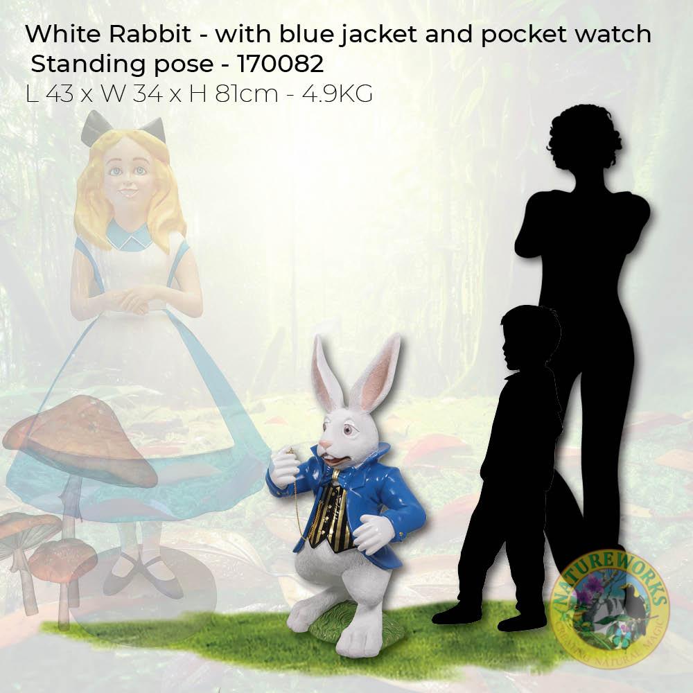Natureworks Australia Alice in Wonderland White Rabbit Statue with blue jacket and pocket watch - wiht silhouette for size reference