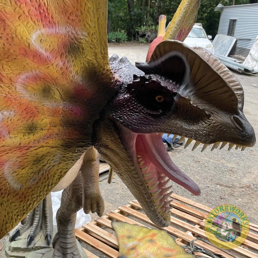 Natureworks Australia Dilophosaurus Dinosaur - Mouth Open - Image 5
