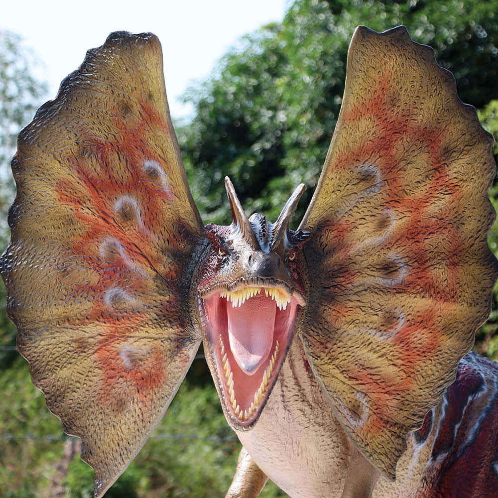 Natureworks Australia Dinosaur-themed attraction