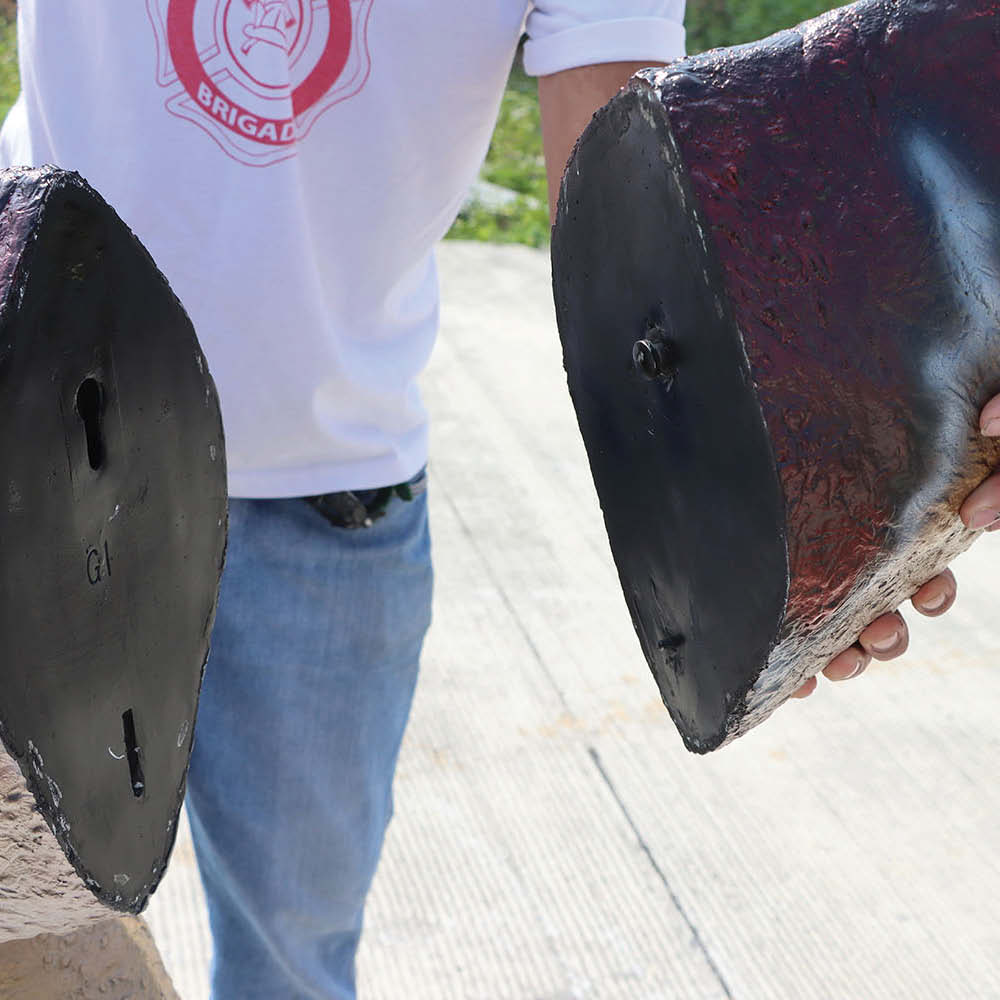 Natureworks Australia Dilophosaurus Dinosaur - Mouth Open - Image 7