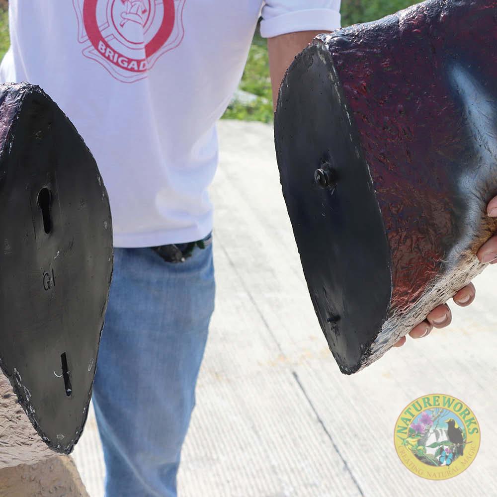 Natureworks Australia Dilophosaurus Dinosaur - Mouth Open - Image 7