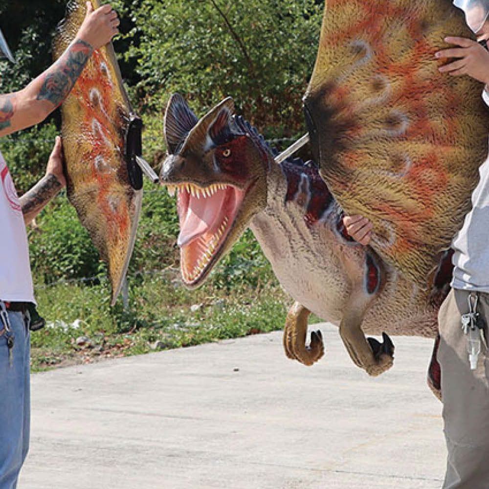 Natureworks Australia Dilophosaurus Dinosaur - Mouth Open - Image 8