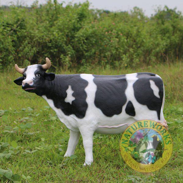 Cow Friesian - Head up samll - 56cm - side view