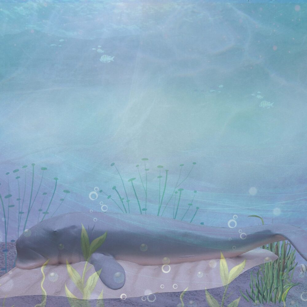 Dugong Adult on sand base - heavy duty - climb and play