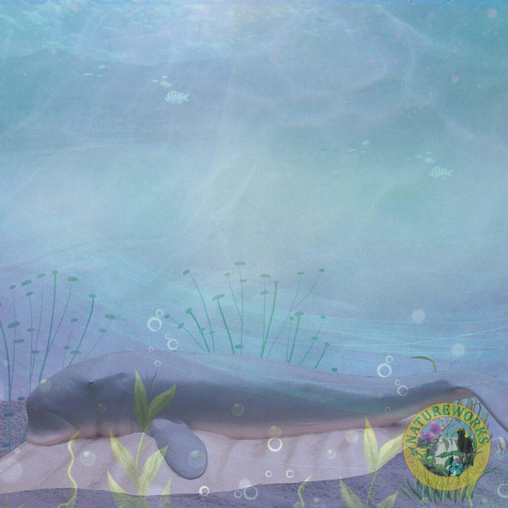 Dugong Adult on sand base - heavy duty - climb and play