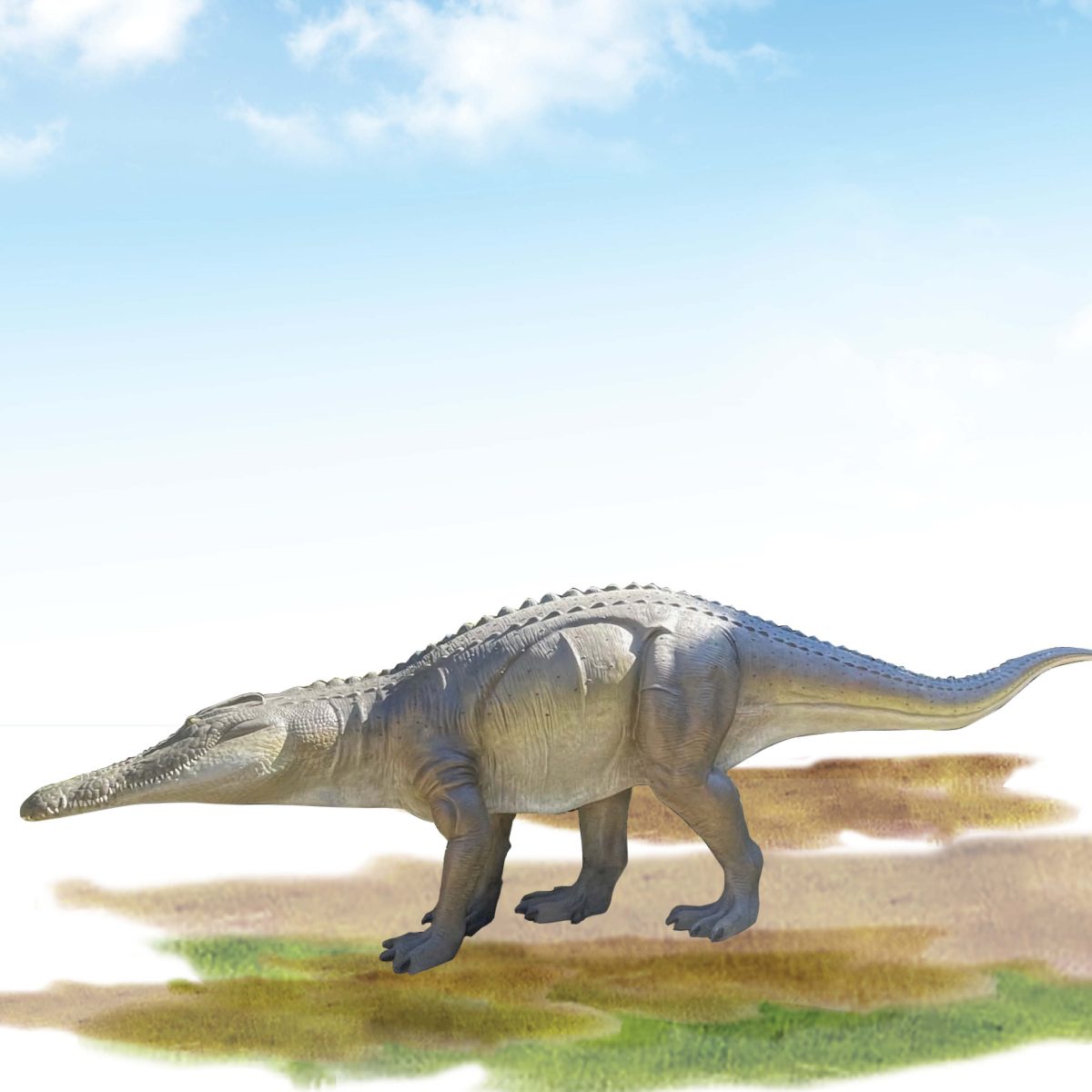 Natureworks Australia Quinkana - Megafauna free standing 6.8m - side view