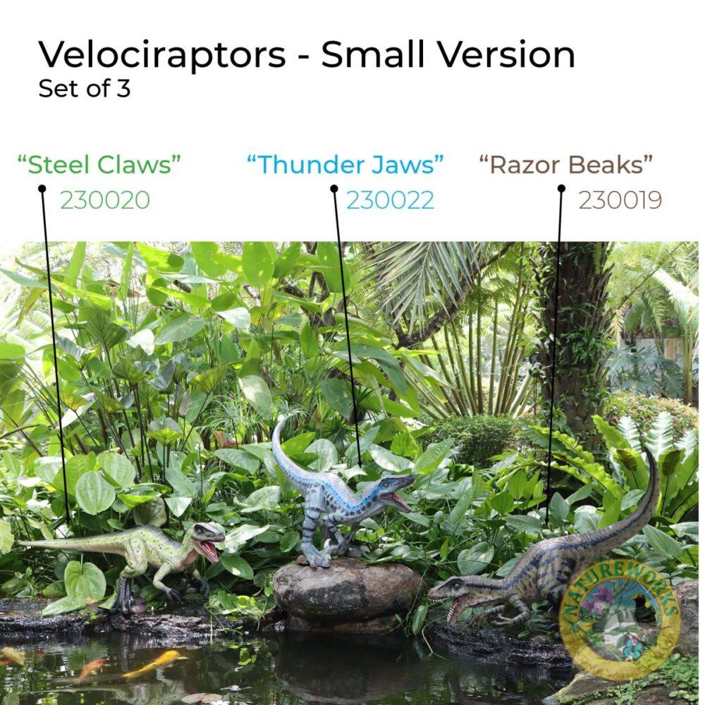 Velociraptor Razor Beaks-230019Brown - L 127 x W 63 x H 99cm – 11.30kg set of 3 Velociraptors sculptures